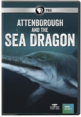 Attenborough and the Sea Dragon BBC Earth