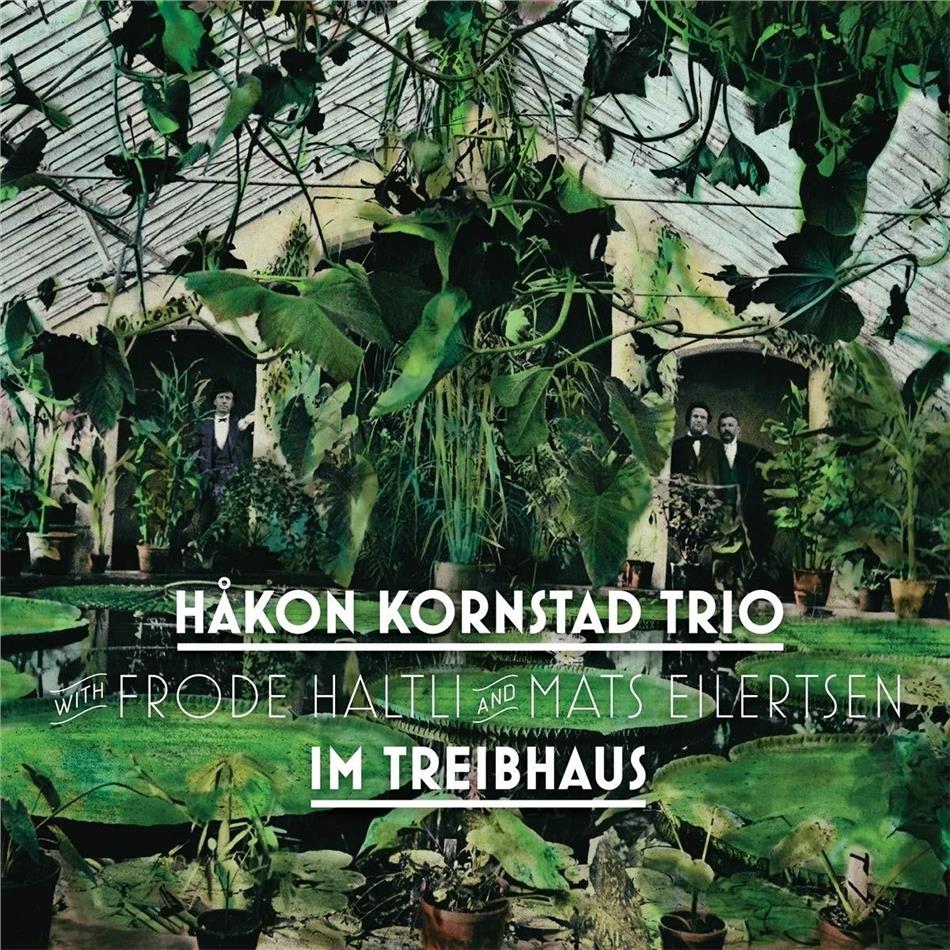Hakon Kornstad - Im Treibhaus