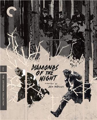 Diamonds Of The Night - Démanty noci (1944) (b/w, Criterion Collection)