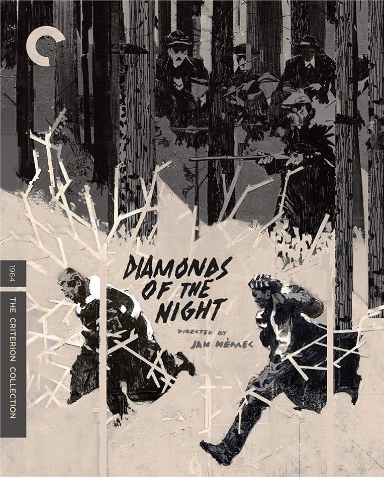 Diamonds Of The Night - Démanty noci (1944) b/w, Criterion Collection