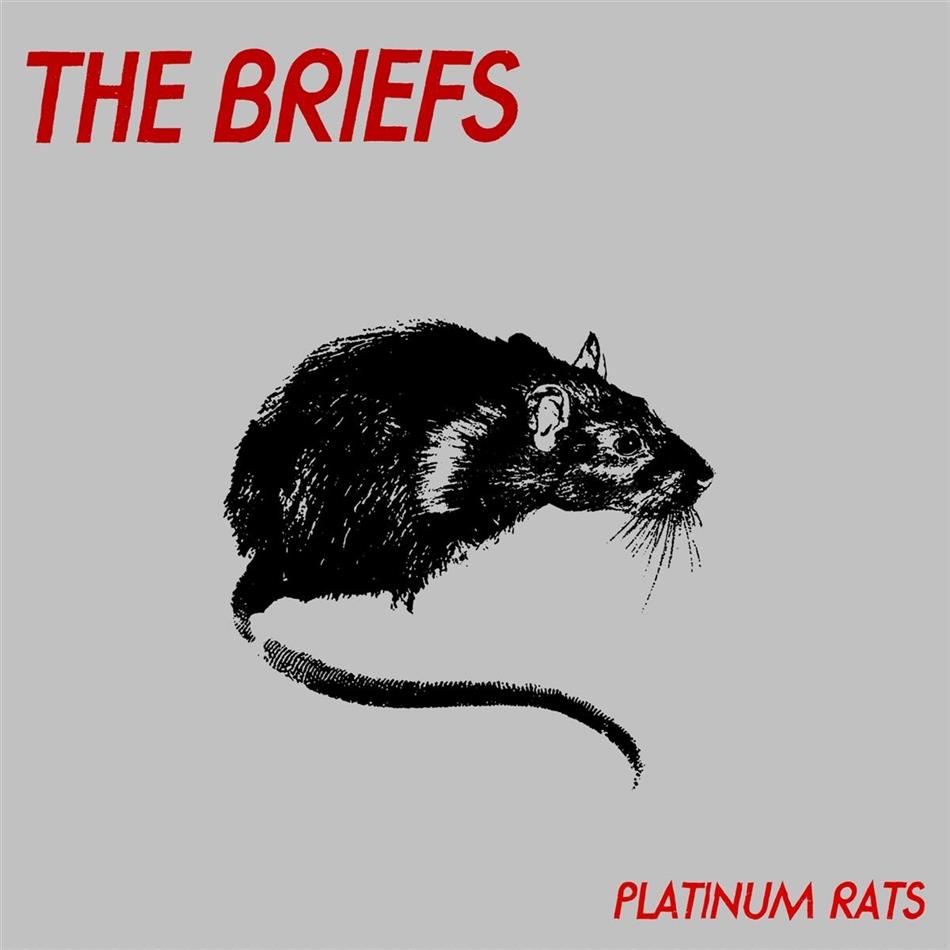 Briefs - Platinum Rats