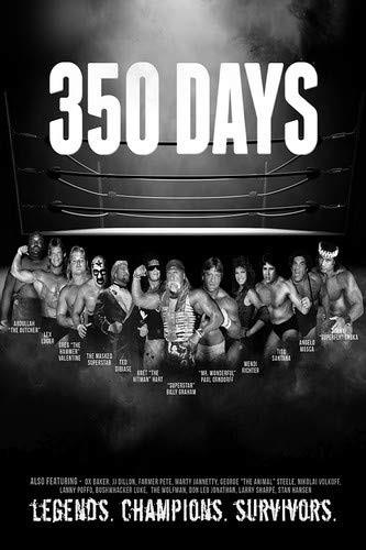 350 Days (2018)