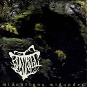 Finntroll - Midnattens Widunder LP