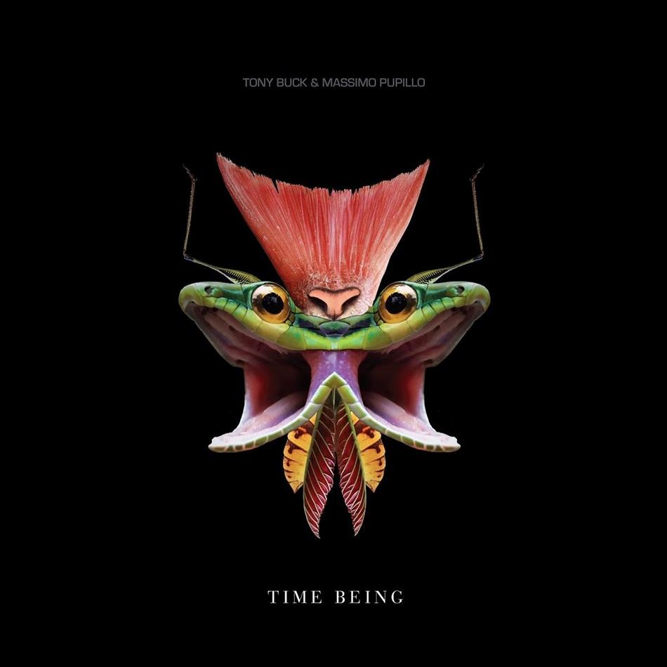 Buck Tony & Massimo Pupillo - Time Being LP LP