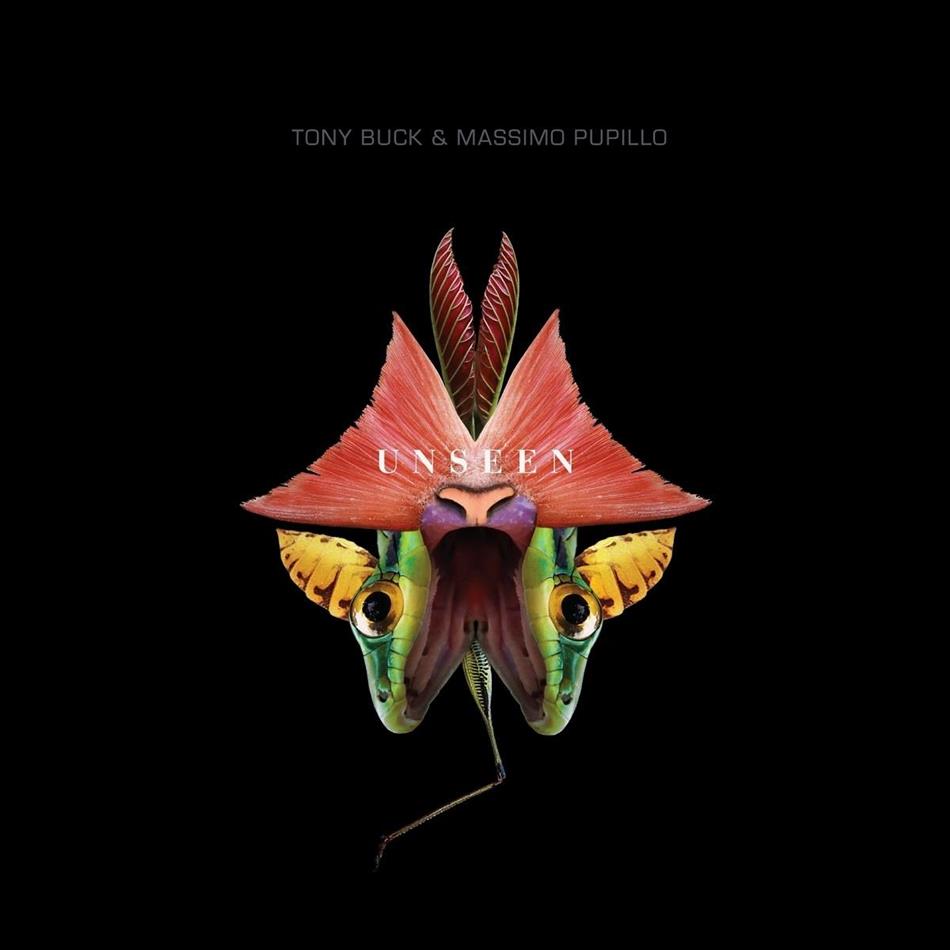 Buck Tony & Massimo Pupillo - Unseen