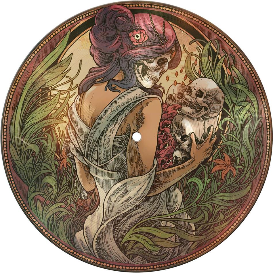 Samsas Traum - Das Vergessene Album Picture Disc, 12" Maxi