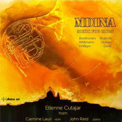 Etienne Cutajar, Carmine Lauri & John Reid - Mdina