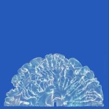 Leafcutter John - Yes! Come Parade With Us LP