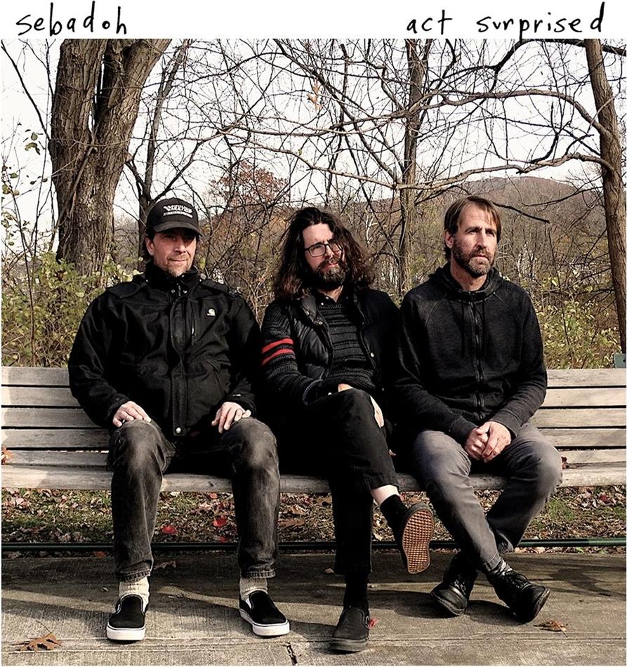 Sebadoh - Act Surprised White Vinyl, LP