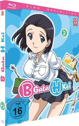 B Gata H Kei - Vol. 2