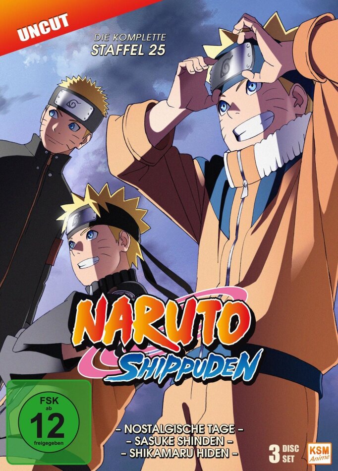 Naruto Shippuden - Staffel 25 3 DVD