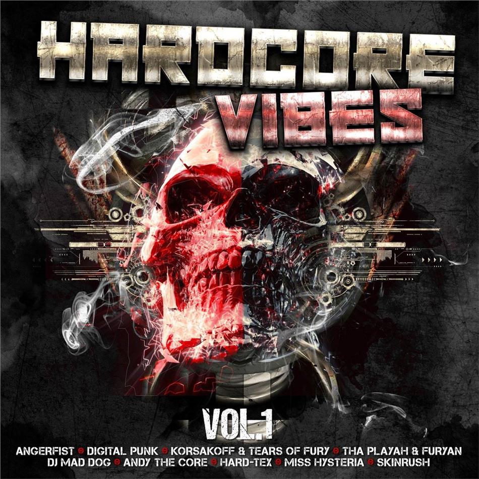 Hardcore Vibes Vol. 1 2 CDs