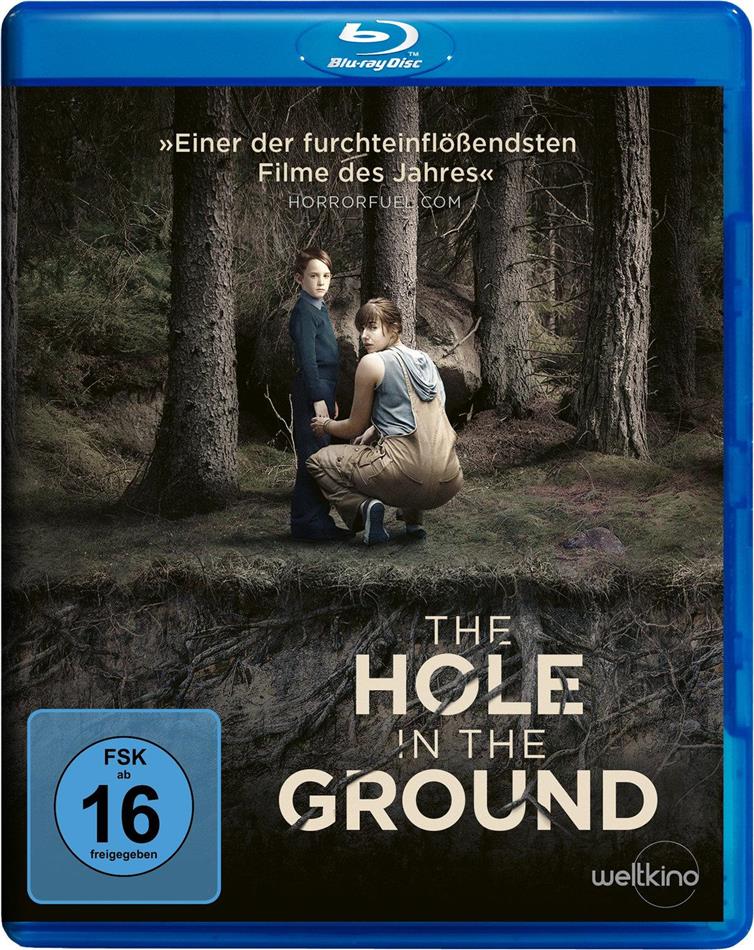The Hole in the Ground (2019)
