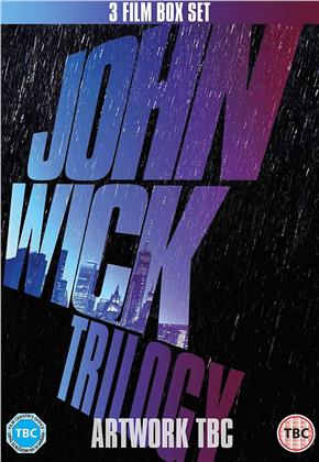 John Wick Trilogy (3 DVDs)