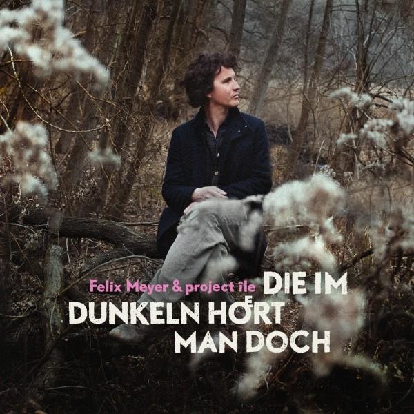 Meyer Felix - Die Im Dunkeln Hoert Man Doch