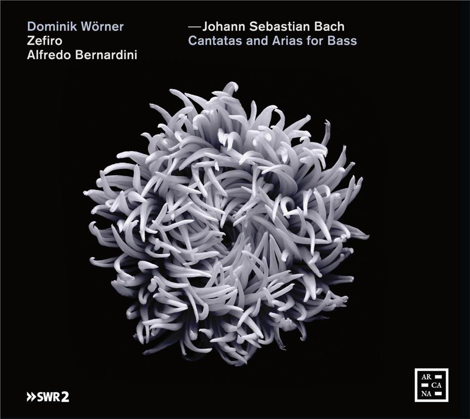 Johann Sebastian Bach (1685-1750), Alfredo Bernardini & Dominik Wörner - Cantatas & Arias For Bass