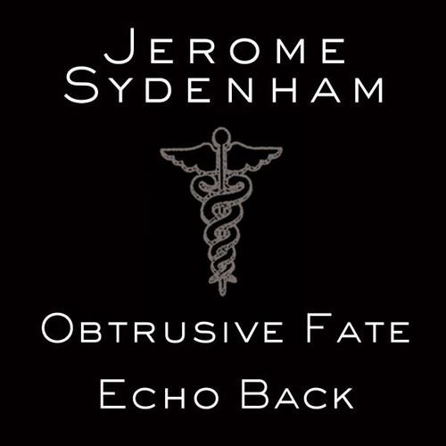 Jerome Sydenham - Echo Back 12" Maxi