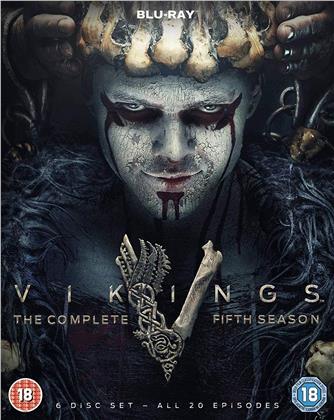 Vikings - Season 5 Vol. 1+2 (6 Blu-rays)