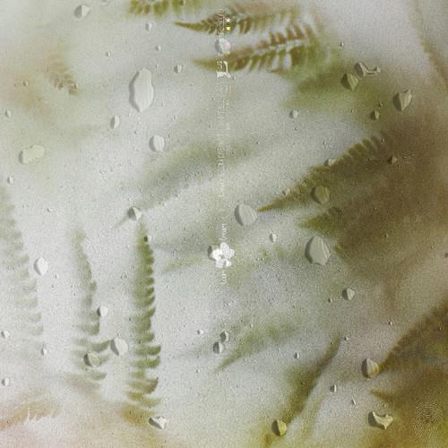 Leif - Loom Dream LP