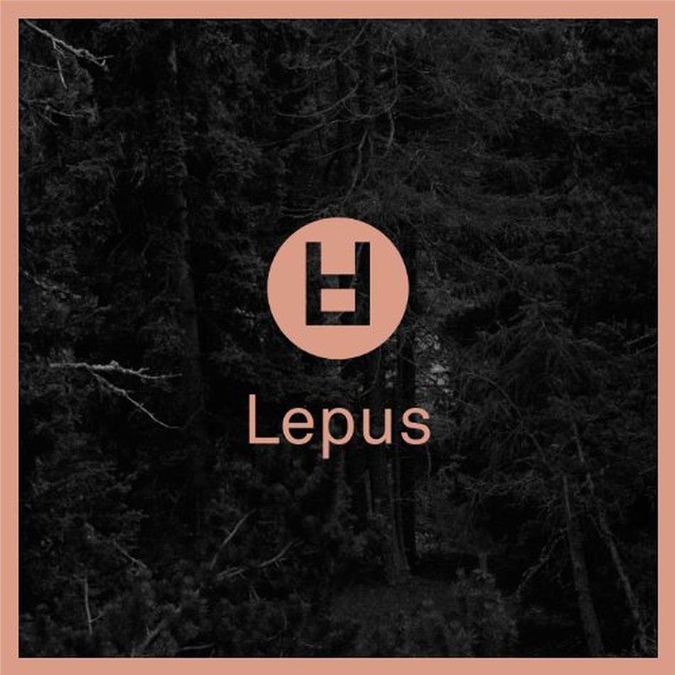 Lepus