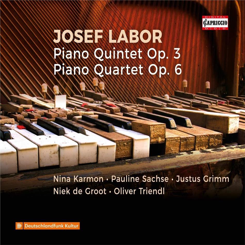 Josef Labor (1842-1924), Nina Karmon, Pauline Sachse, Justus Grimm, … - Piano Quartet/Piano Quintet