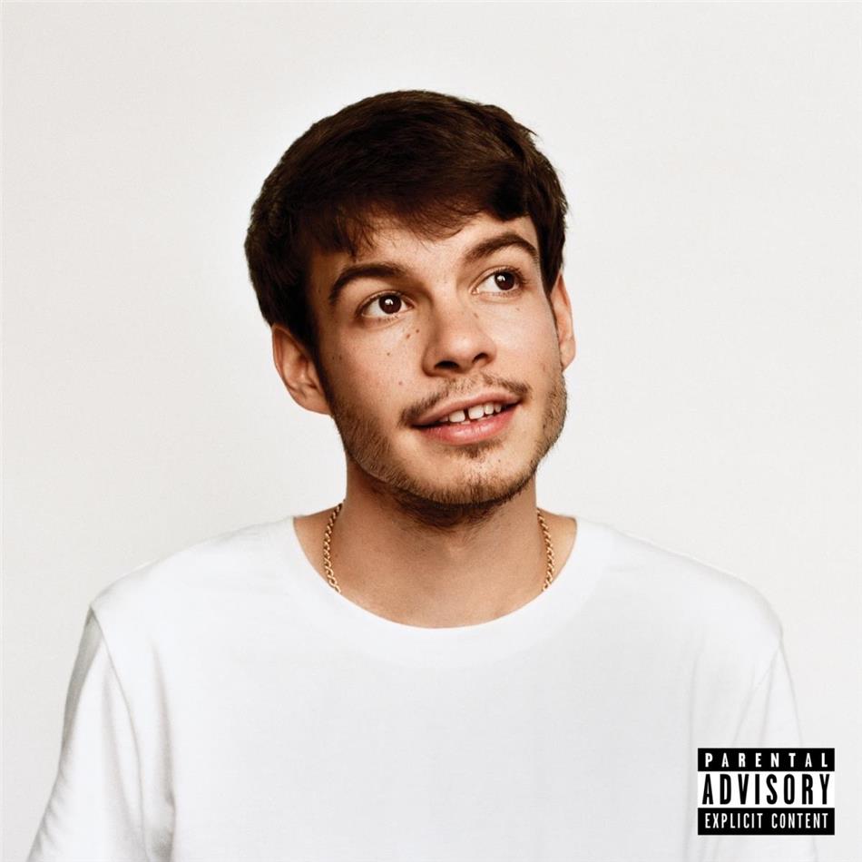 Rex Orange County - Pony 140 Gramm, LP + Digital Copy