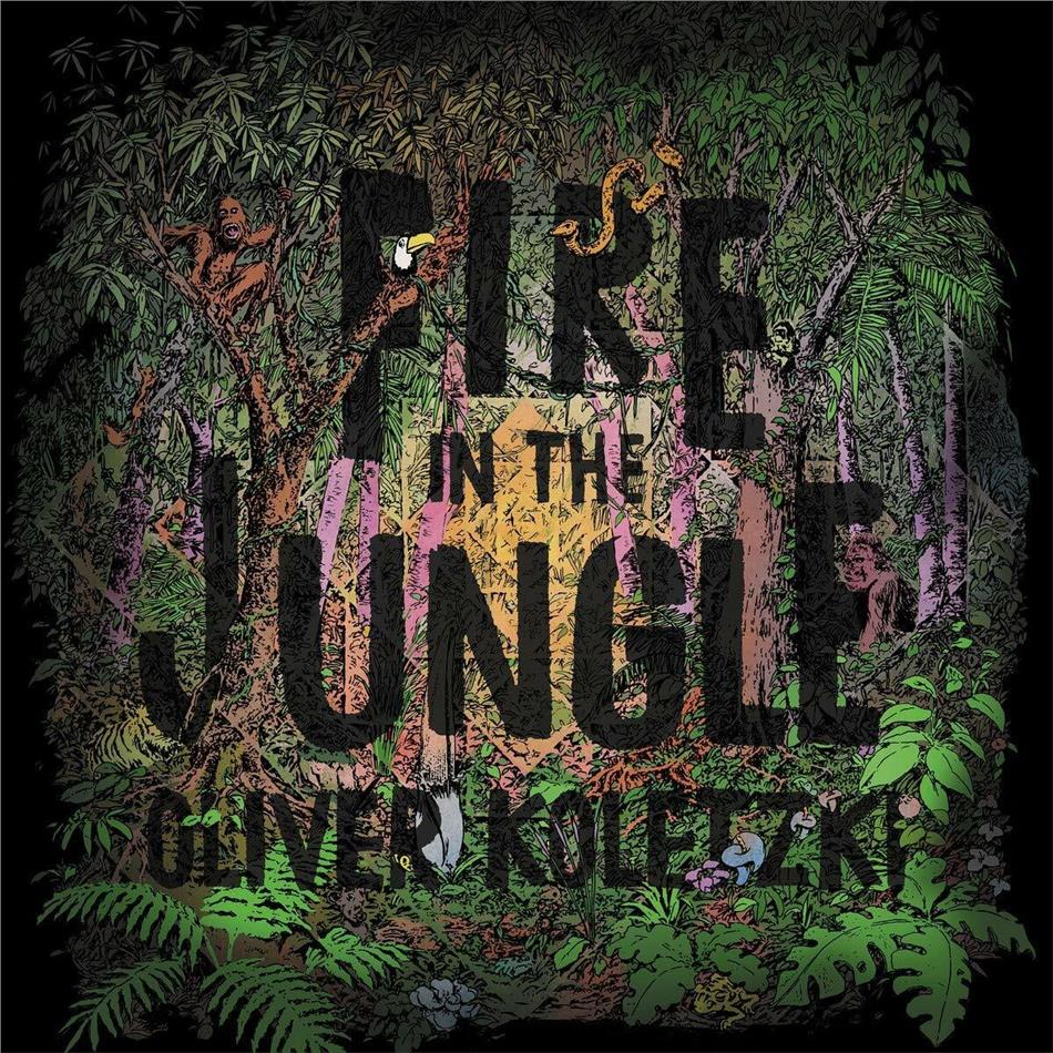 Oliver Koletzki - Fire In The Jungle