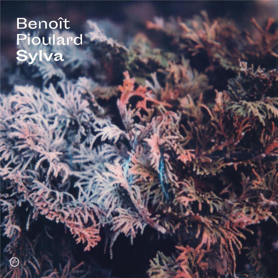 Benoit Pioulard - Sylva LP