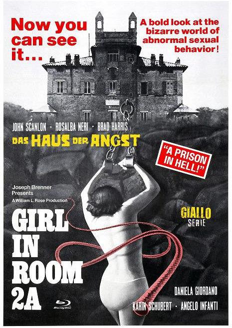 Girl in Room 2A - Das Haus der Angst (1974) Eurocult Collection, Cover D, Giallo Serie, Édition Limitée, Mediabook, Blu-ray + DVD
