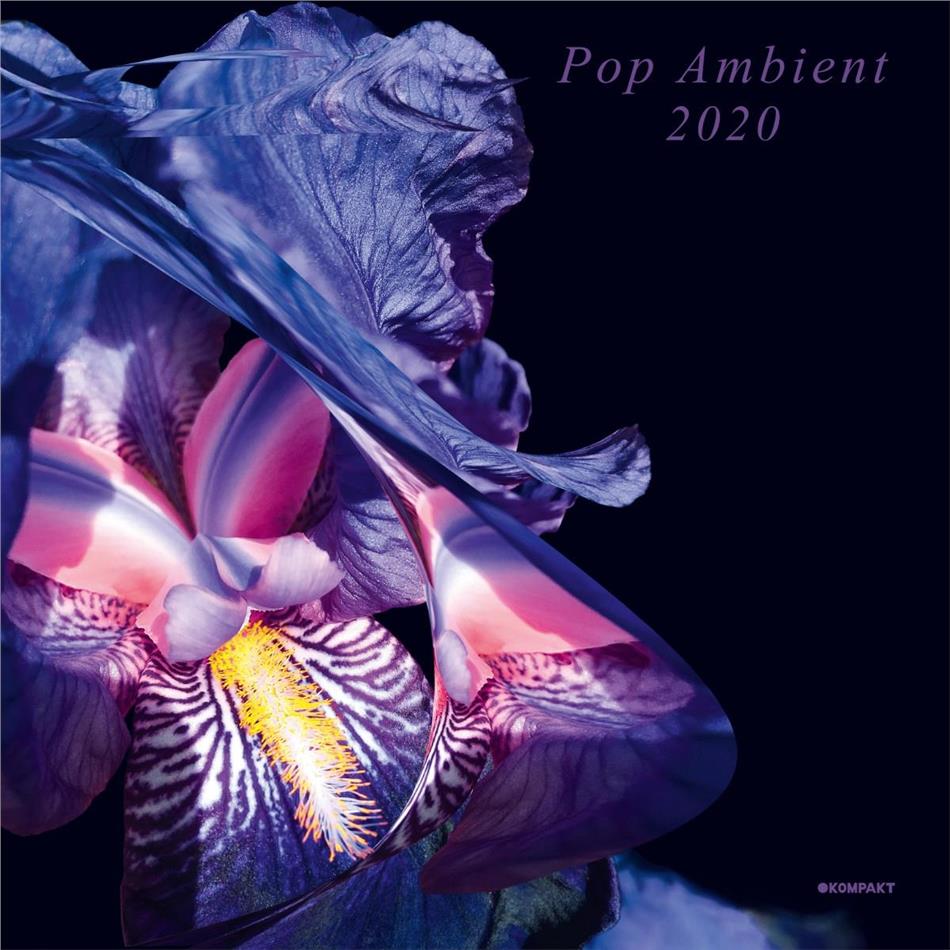 Pop Ambient - Pop Ambient 2020