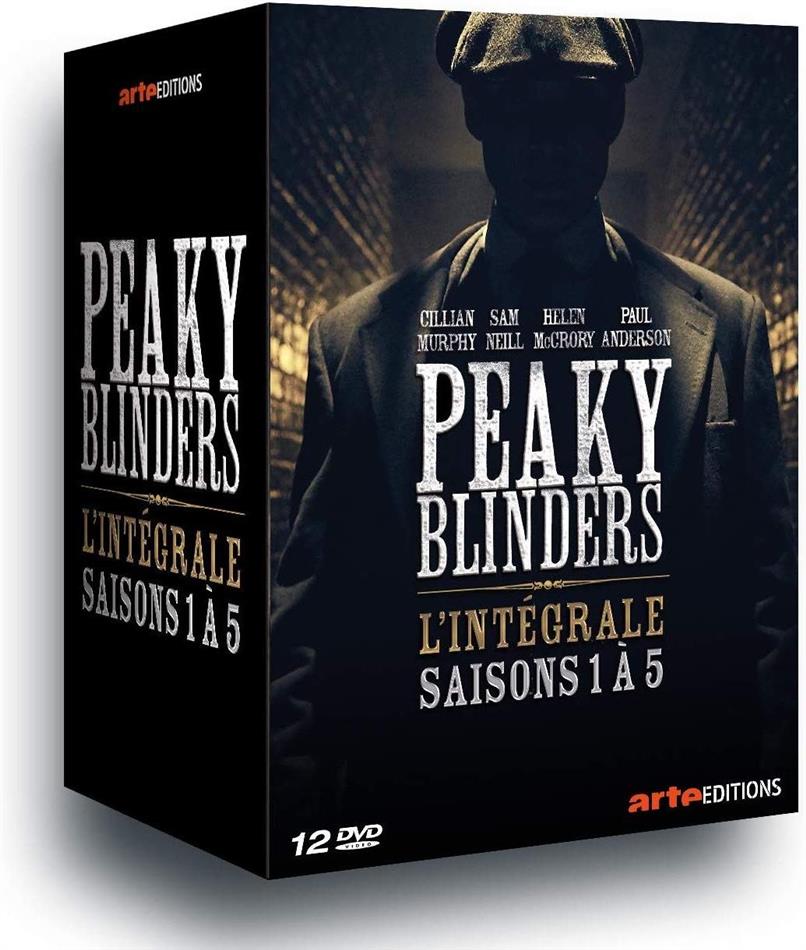 Peaky Blinders - Saisons 1-5 12 DVD
