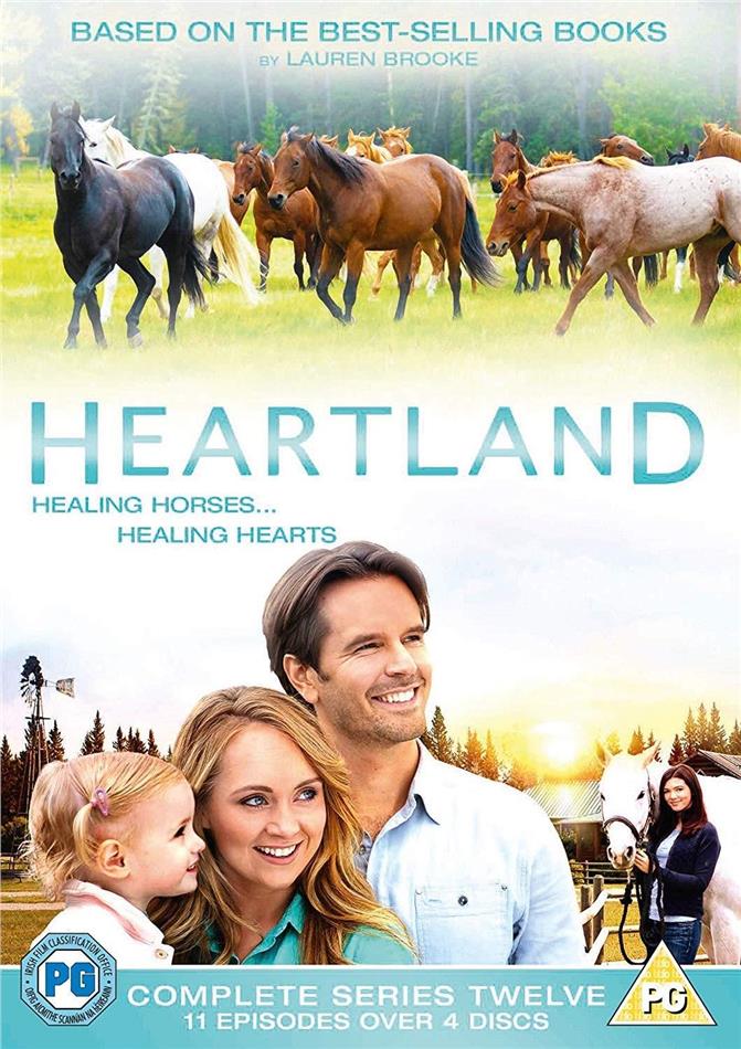 Heartland - Season 12 4 DVD