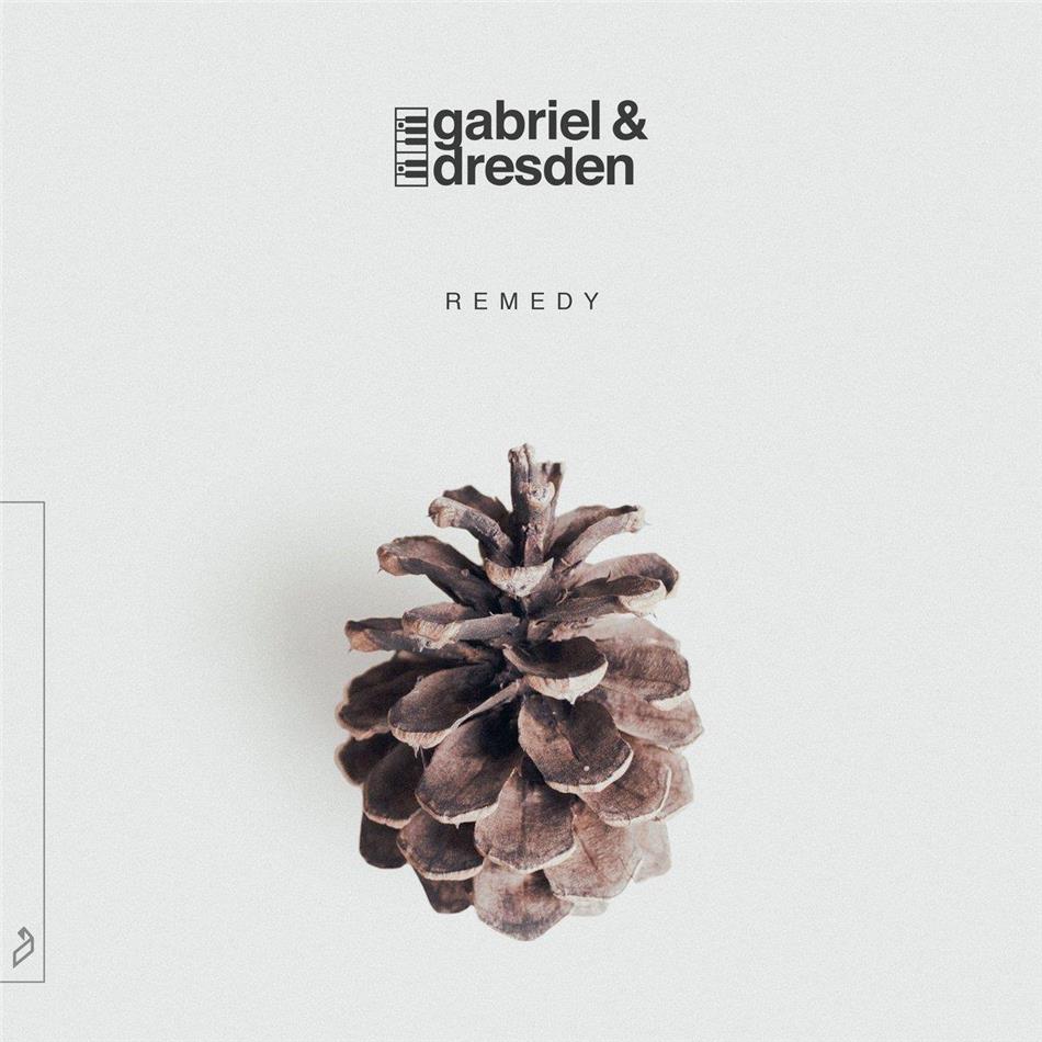 Gabriel & Dresden - Remedy 2 LPs