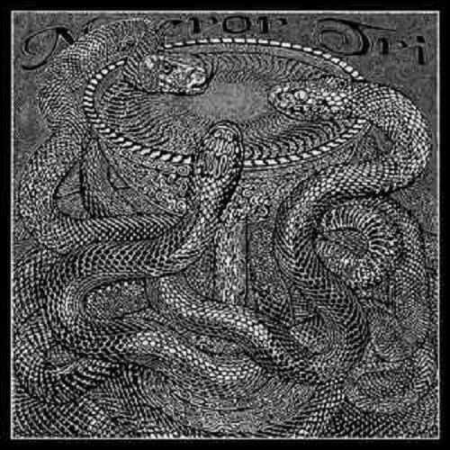 Maeror Tri - Venenum CD + DVD