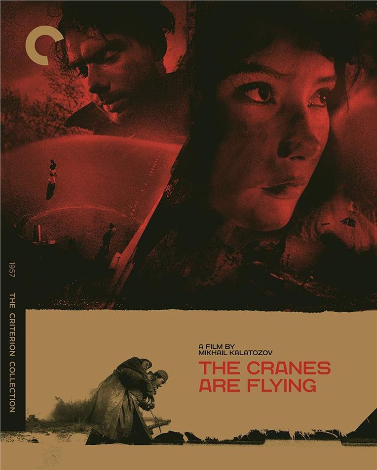 The Cranes Are Flying (1957) Criterion Collection