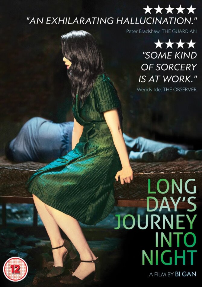 Long Day's Journey Into Night (2018)
