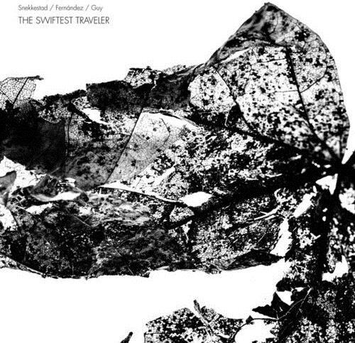 Guy, Fernandez & Snekkestad - The Swifted Traveler