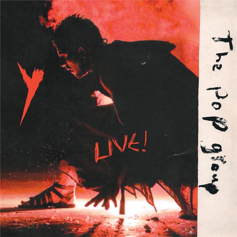 The Pop Group - Y Live LP