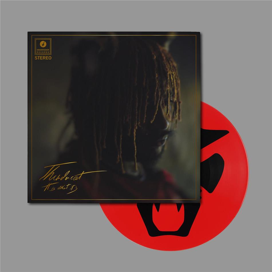 Thundercat - It Is What It Is Deluxe Edition, Picture Disc, LP + Digital Copy