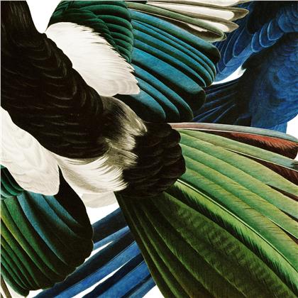 Dachs - Zu Jeder Stund En Vogelgsang (LP)