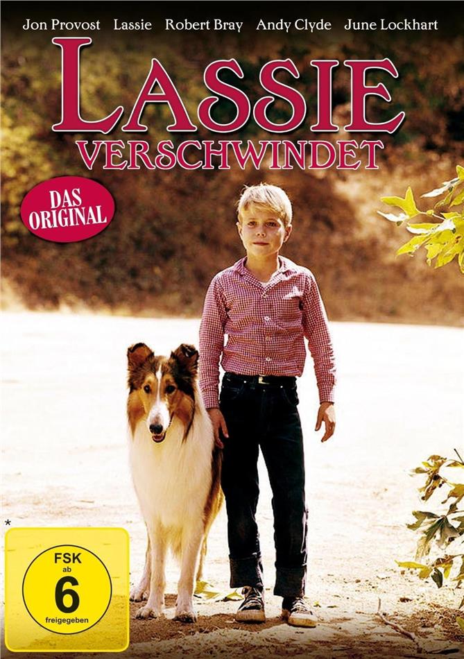 Lassie verschwindet (1963)
