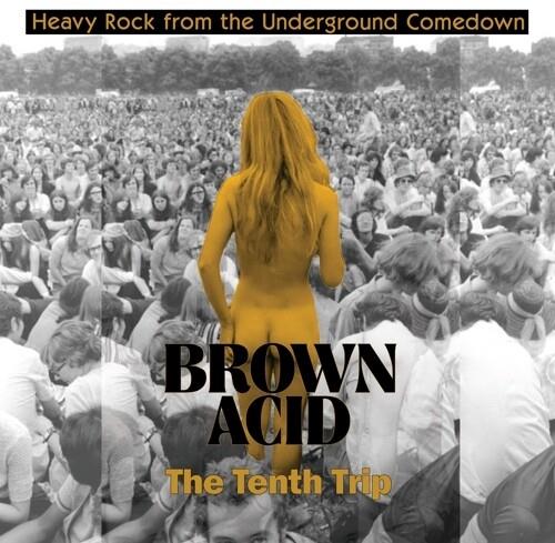 Brown Acid - The Tenth Trip LP