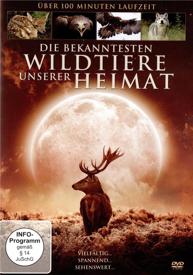 Die bekanntesten Wildtiere unserer Heimat