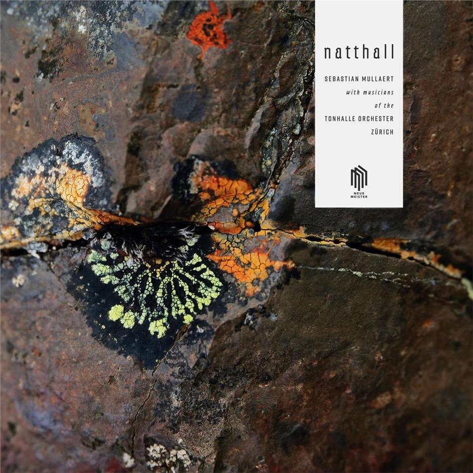 Sebastian Mullaert & Musicians Of The Tonhalle Orchester Zürich - Natthall 2 LPs