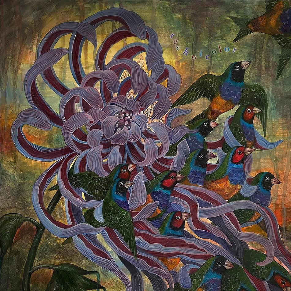 Covet - Technicolor LP