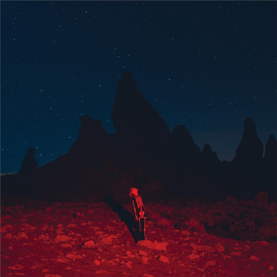 Phoebe Bridgers - Punisher LP