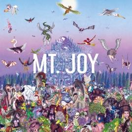 Mt.Joy - Rearrange Us LP