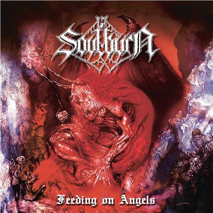 Soulburn - Feeding On Angels (2020 Reissue, Silver Vinyl, 2 LPs)