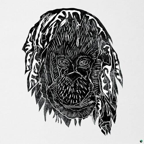 Alpha Steppa - Raise The Ark 2 LPs