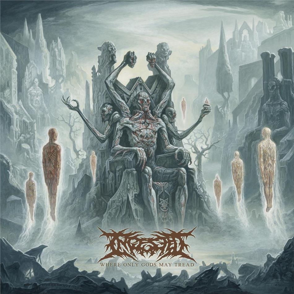 Ingested - Where Only Gods May Tread + Patch, + Flag, Coffret